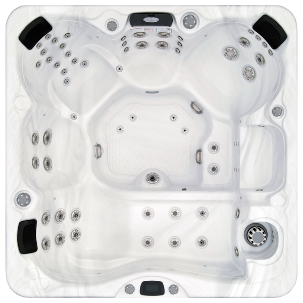Avalon-X EC-867LX hot tubs for sale in San Ramon